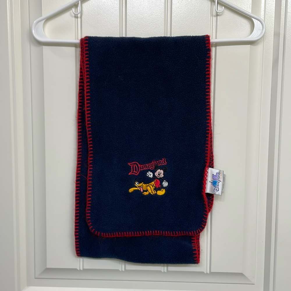 Disneyland scarf